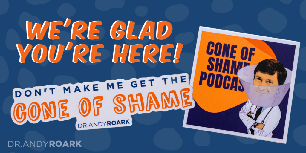 We're Glad You're Here! Photos of Cone of Shame Stickers