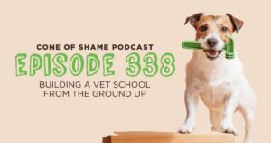 jack russel dog holding a hammer