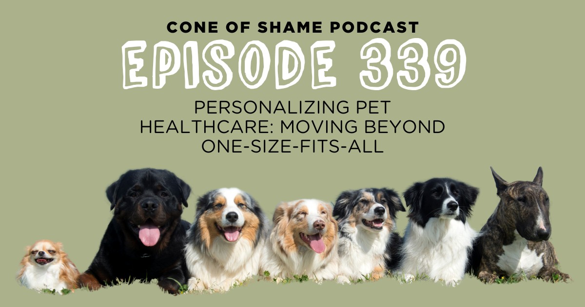 numerous dogs of different breeds and sizes