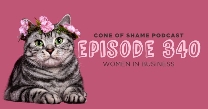 cat wearing a pink flower crown