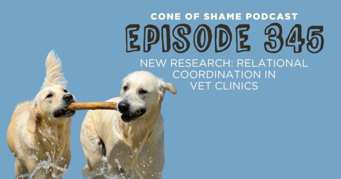 two golden retriever dogs carrying a stick in the ocean together