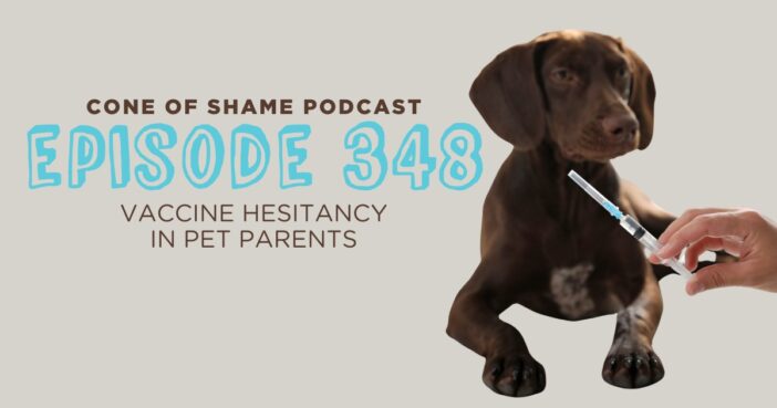 veterinary professional holding a syringe with a vaccine in front of a puppy