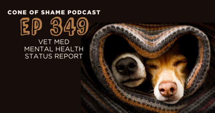 two dogs cuddling in a heart shaped blanket