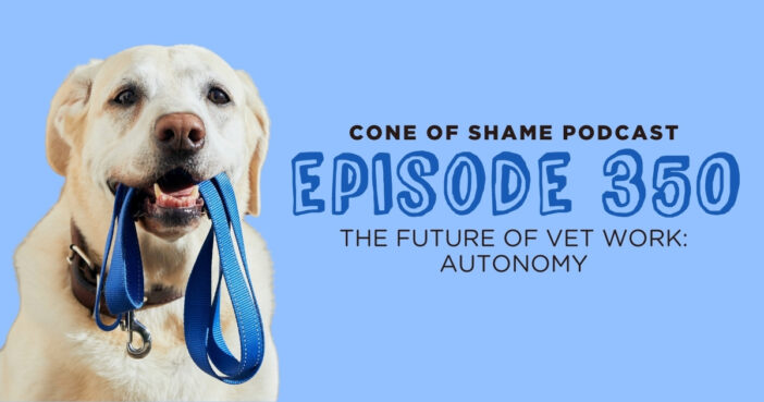 labrador dog holding its own leash