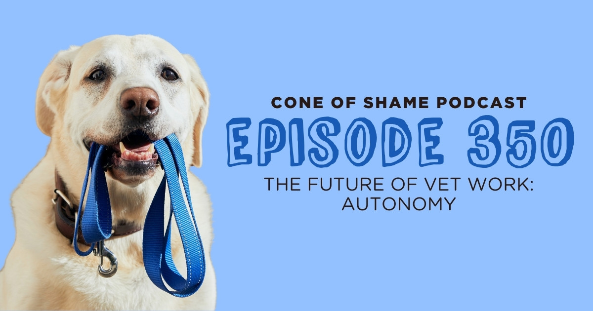 labrador dog holding its own leash