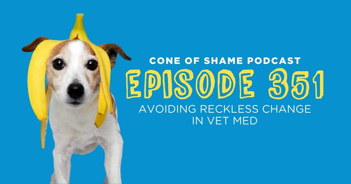 terrier dog with banana peel on head