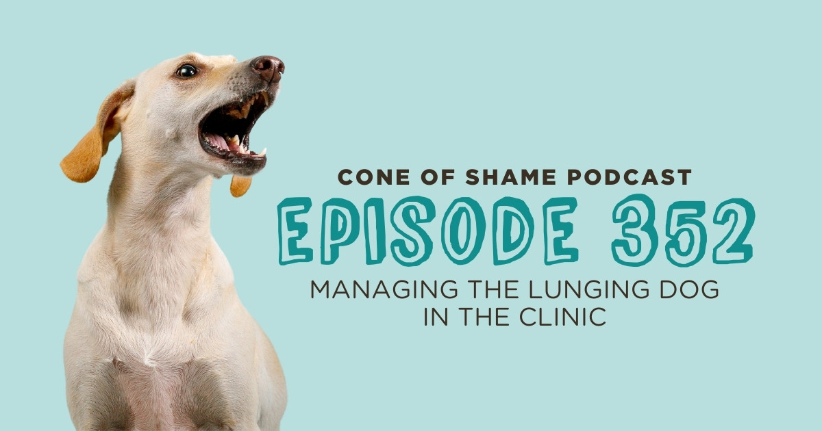 fearful dog barking in veterinary exam room