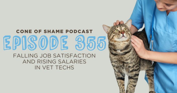 veterinary technician petting a cat