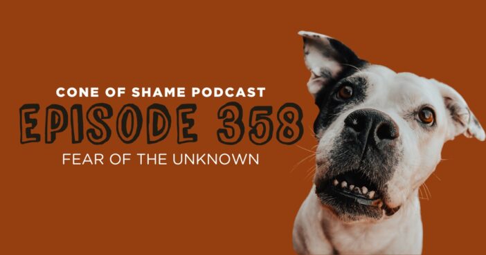 worried dog looking at camera