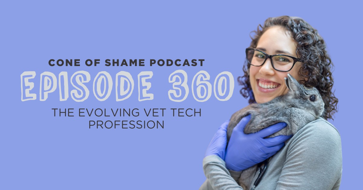 veterinary technician holding a rabbit patient