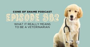 golden retriever puppy wearing stethoscope in veterinary hospital