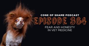 small dog wearing lion costume showing bravery and courage