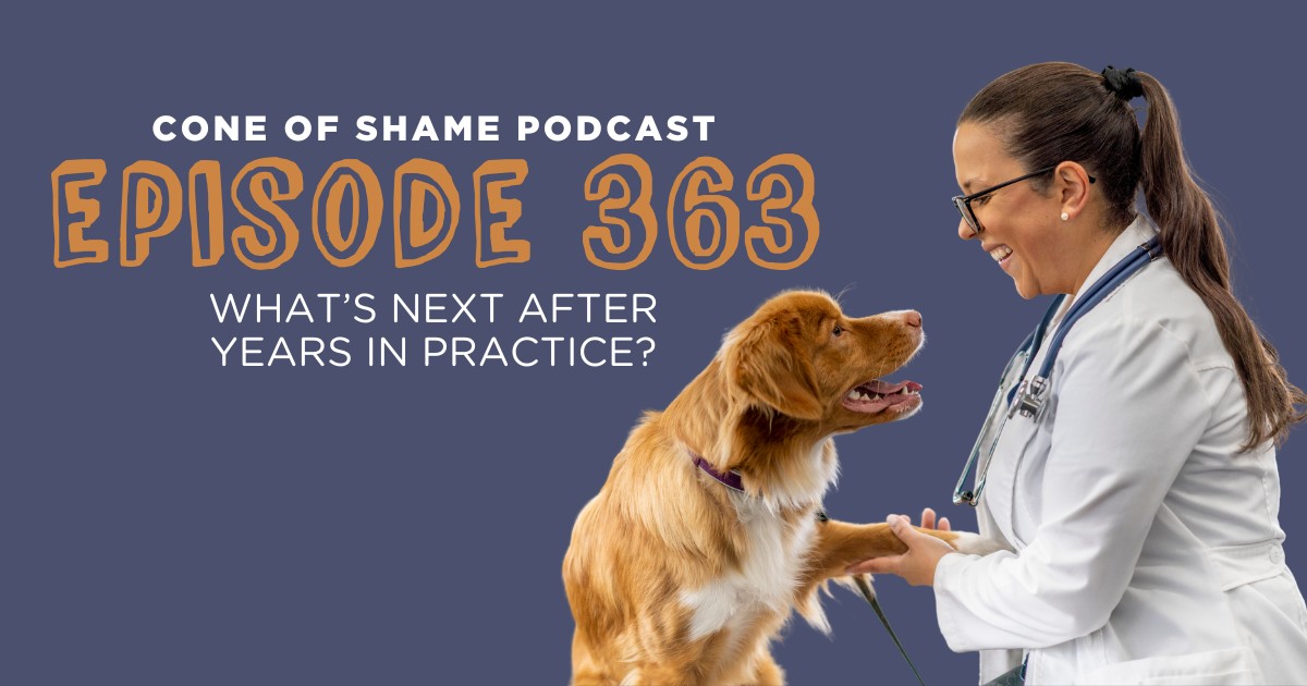 veterinarian holding paw of happy dog patient