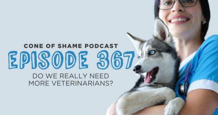 young veterinarian holding puppy husky dog