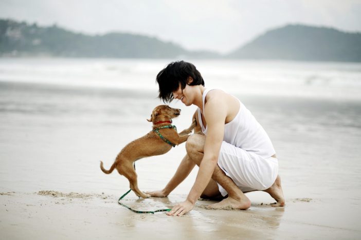 dog and person beach