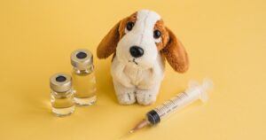 plush puppy with medication vials and a syringe