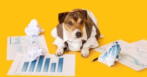 dog with graphs and statistics