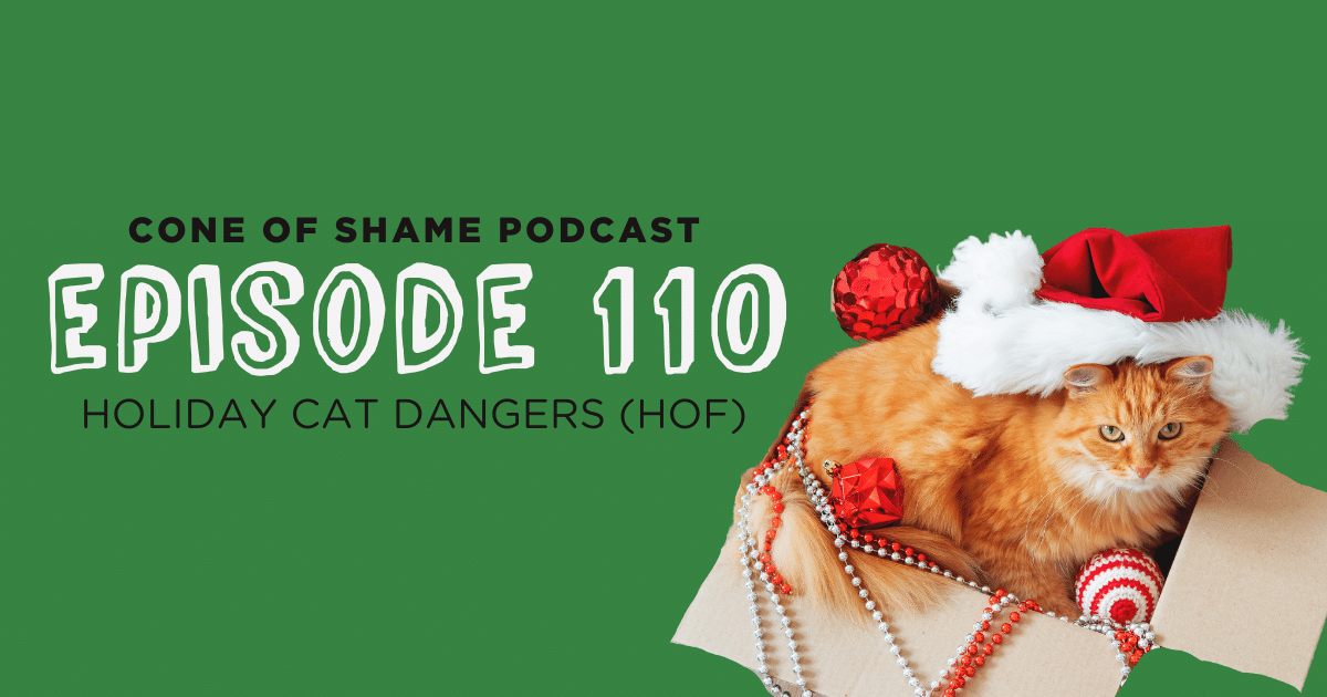 Cone of Shame Podcast Episode 110 - Holiday Cat Dangers. Image of an orange cat with holiday decorations in a box