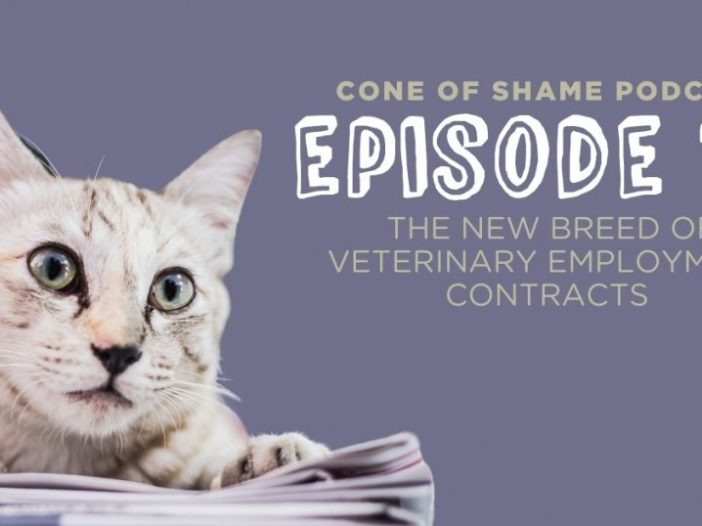 veterinary contracts cat