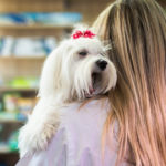 veterinary technician holding white dog over shoulder