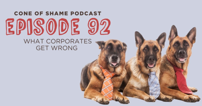 three german shepherd dogs wearing business ties