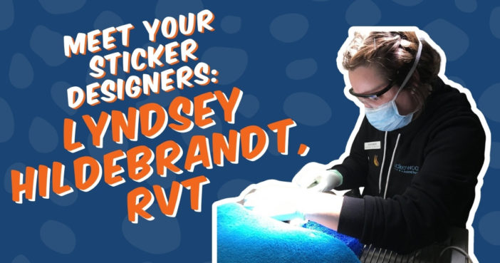 Lyndsey Hildebrandt, RVT