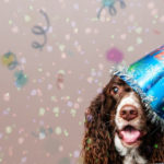 dog celebrating new year