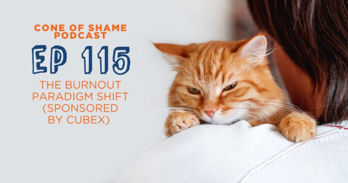 orange cat over veterinarian's shoulder