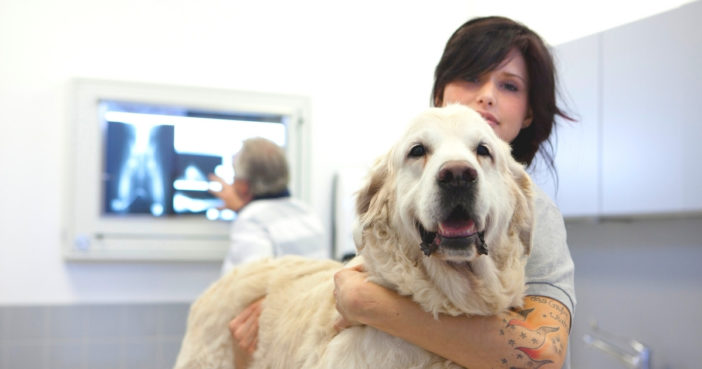 veterinary technician holding a dog in the clinic