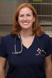Dr. Caitlin DeWilde