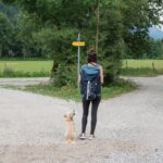 woman and dog trying to decide which path to take