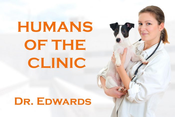 humans of the vet clinic