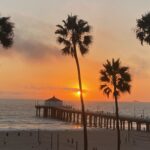 view of the ocean palm trees and a beautiful sunset