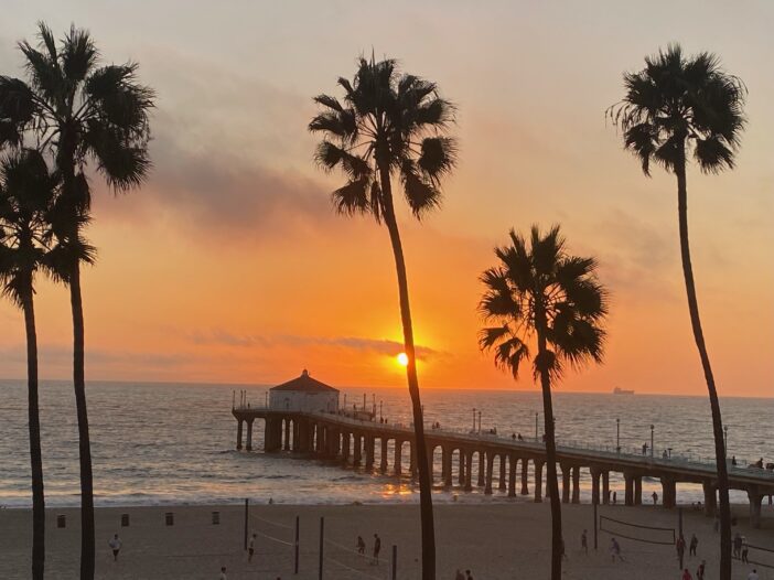 view of the ocean palm trees and a beautiful sunset