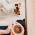 photo of dog and coffee
