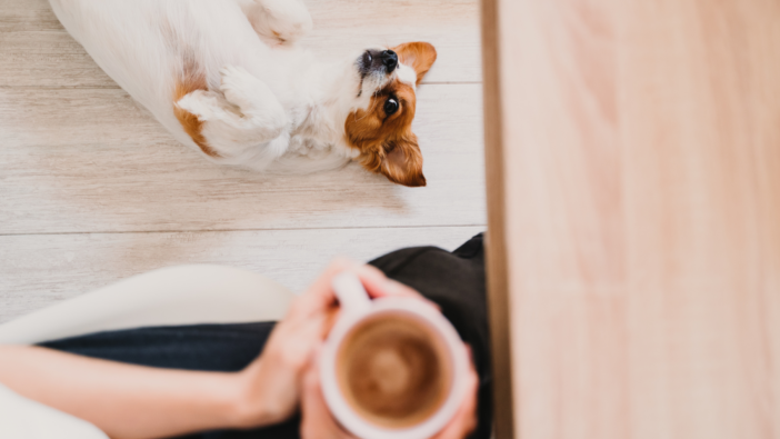 photo of dog and coffee