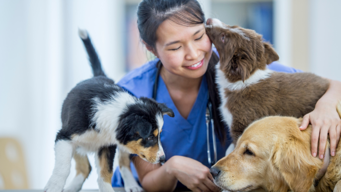 photo of woman with three dogs