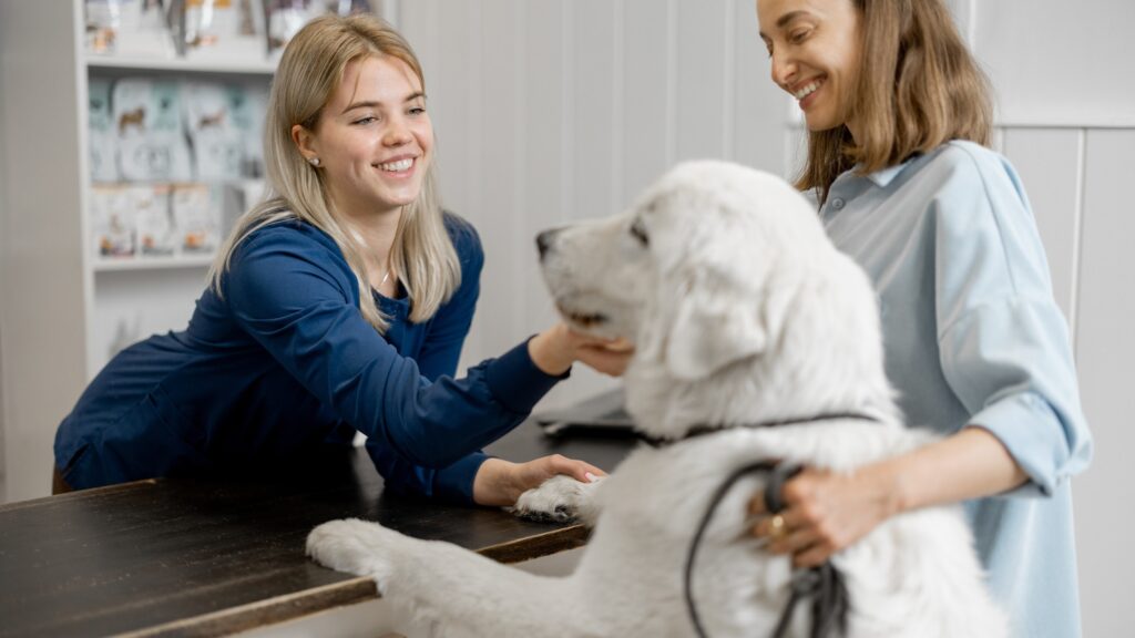 veterinary receptionist saying hello to dog patient from behind front desk