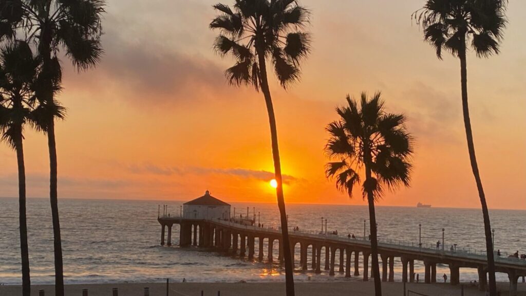 view of the ocean palm trees and a beautiful sunset