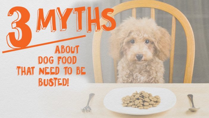 The Great Big Dog Food Myth