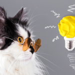 cat in glasses with an idea bulb, ready to learn how to be fantastic in the exam room.