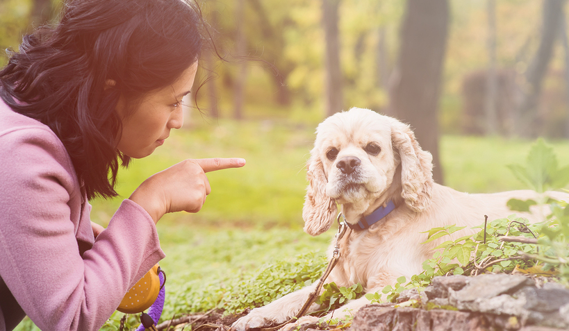 Five Things We Have To Stop Doing In Vet Med