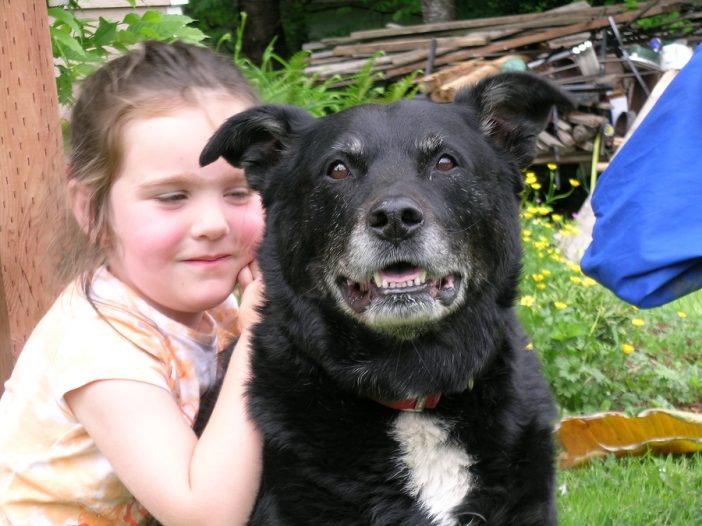 Cute little girl hugs her old dog