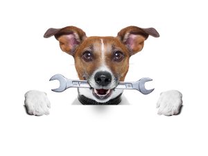Craftsman Dog