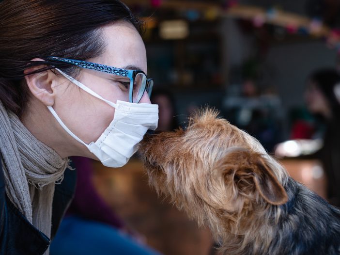 person in mask and yorkie