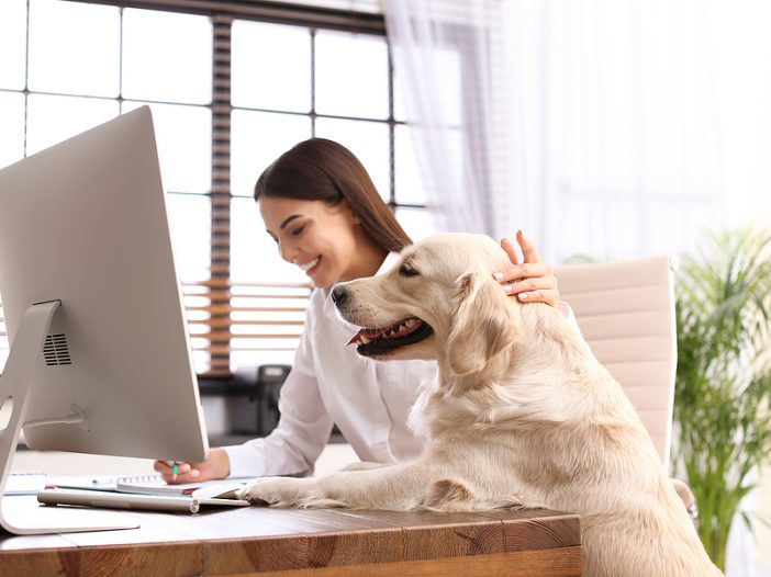 woman working with dog