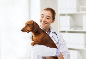 a Millennial veterinarian holds a dog in the clinic