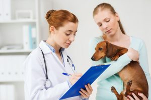 woman holding dachshund dog - practice like you're being sued