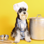 dog dressed as a chef