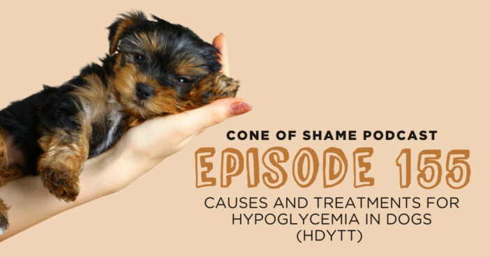 Hypoglycemia in hot sale puppies